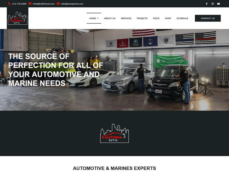 autopiantx.com website WordPress design by Lucia Anilao